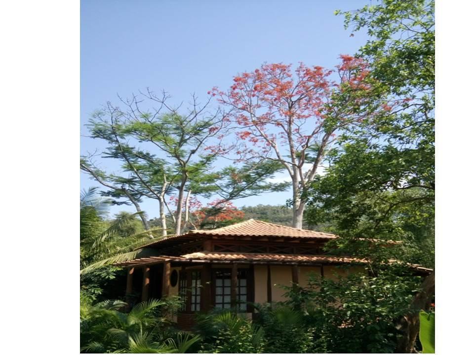 Paraty Villa D'Agua Temporada ภายนอก รูปภาพ